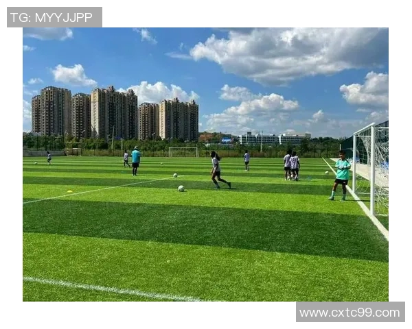 邯郸市足球明星的崛起与发展探索及其对地方足球的影响